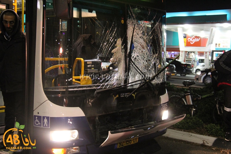 acc shderoteirer (5).JPG